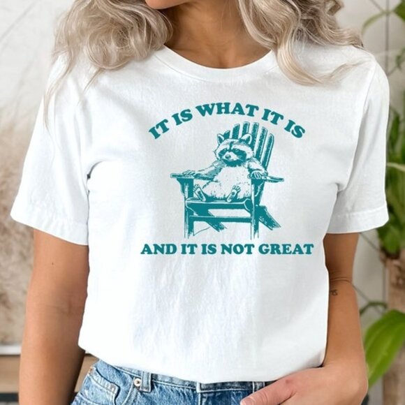 It Is What It Is And It Is Not Great Shirt, Raccoon Meme Shirt, Funny Shirt - Picture 1 of 4